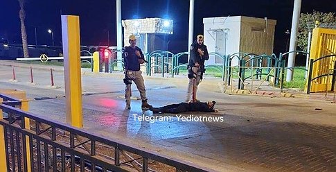 الاحتلال يعلن مقتل "عدي التميمي" منفذ عملية شعفاط بالقدس