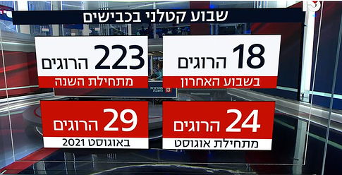 قناة عبرية: مئات القتلى الإسرائيليين خلال أقل من عام في حوادث طرق
