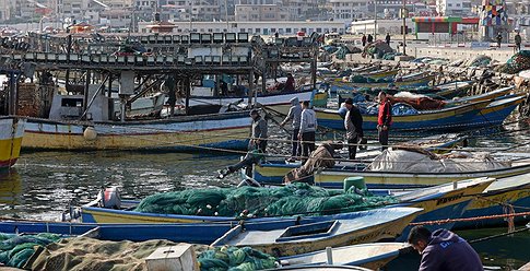 عودة حركة الصيد في بحر غزة