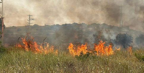 اندلاع مئات الحرائق وانقطاع الكهرباء خلال يومٍ حارٍ على إسرائيل