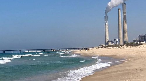صحيفة عبرية: كارثة بيئية حلت بشواطئ إسرائيل سببها قطاع غزة