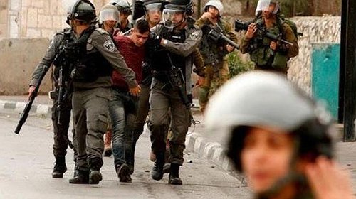 اعتقال 11 مواطنا في مناطق متفرقة بالضفة الغربية