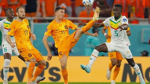 هولندا تتغلب على السنغال بثنائية مقابل لاشيء