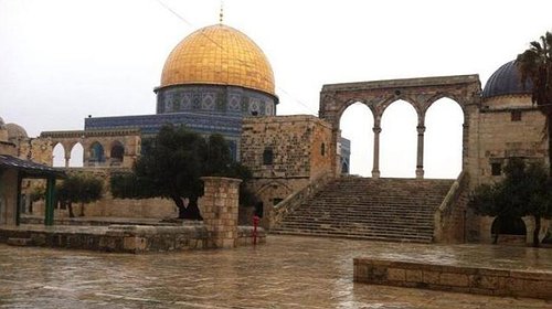 انخفاض وارتفاع..راصد عاجل فلسطين يكشف طقس أيام العيد