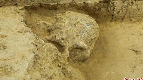 اكتشاف جمجمة بشرية عمرها مليون عام