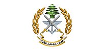 الجيش اللبناني يوضح تفاصيل تحضيره لعملية عسكرية على مخيم عين الحلوة