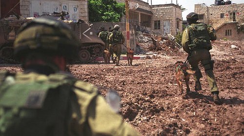 الجيش الإسرائيلي يُجري تدريباً عسكريا في غور الأردن غداً