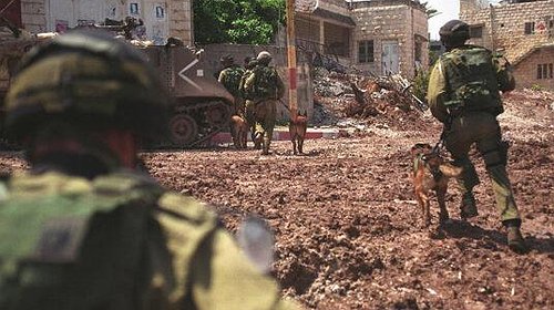قوات الاحتلال تُنقذ 8 إسرائيليين دخلوا إلى جنين