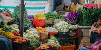 أسعار الخضراوات والدجاج واللحوم والبيض اليوم في غزة