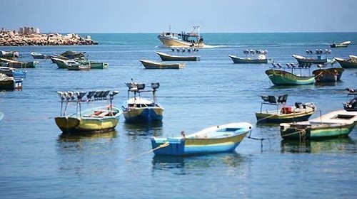 الشرطة البحرية بغزة تُصدر قراراً حول العمل في البحر